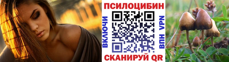 даркнет сайт  Нюрба  Псилоцибиновые грибы MAGIC MUSHROOMS 